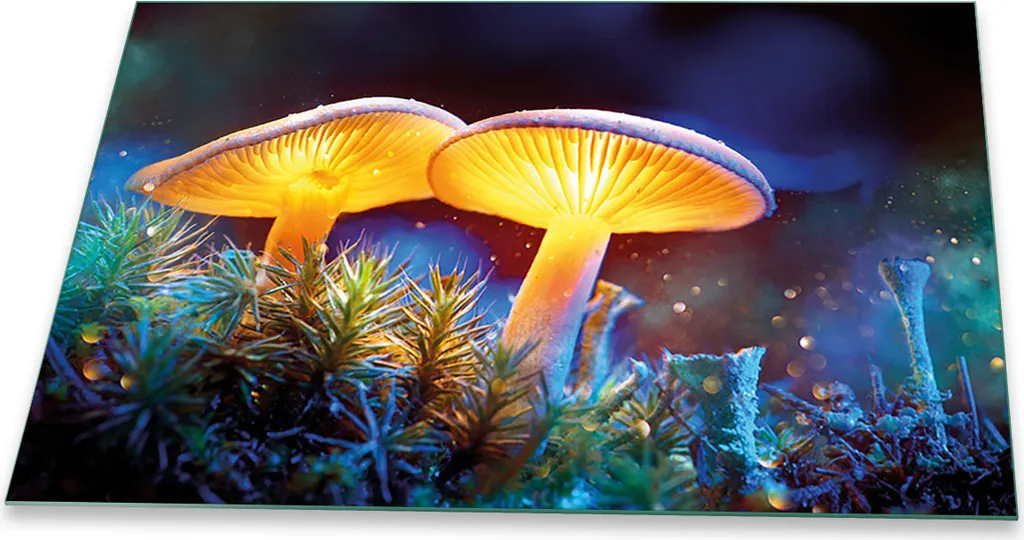 Offerta Coprifornelli 80x52 Vetro Temperato Funghi Blu Prezzo Shock