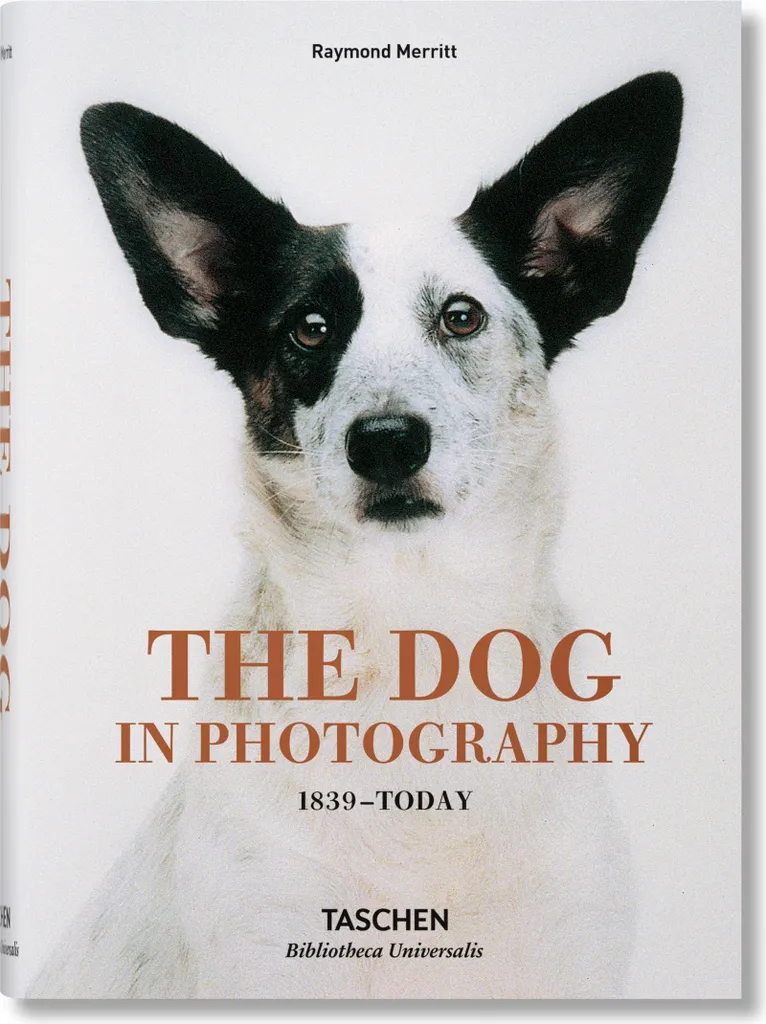 Idée Cadeau Culturelle : Livre Photo Chien pour Salon et Collection