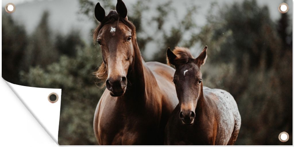 MuchoWow 160x80 cm Outdoor-Poster Gartendeko Sichtschutz Garten Poster für den Garten Pferde - Wald - Berge
