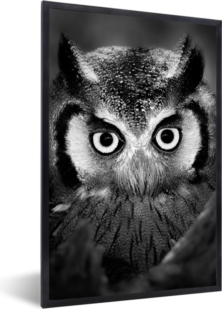 MuchoWow Gerahmtes Poster Vogel - Eule - Porträt - Schwarz - Weiß 60x90 cm - Poster mit Schwarzem Bilderrahmen Wandposter Rahmen Foto Bilder - ...