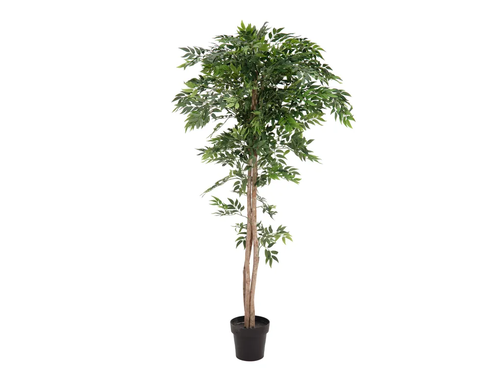 Ficus Longifolia Artificiel 165cm : Plante sans Entretien pour Coin Sombre