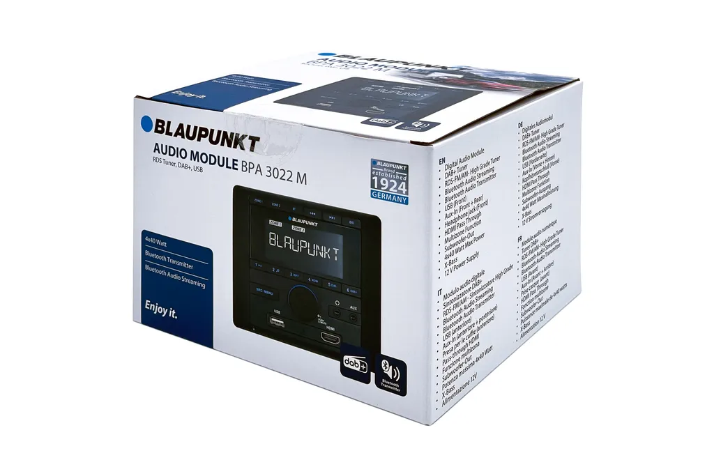 Module Blaupunkt BPA 3022 M avec Double Zone Audio et Bluetooth Intégré