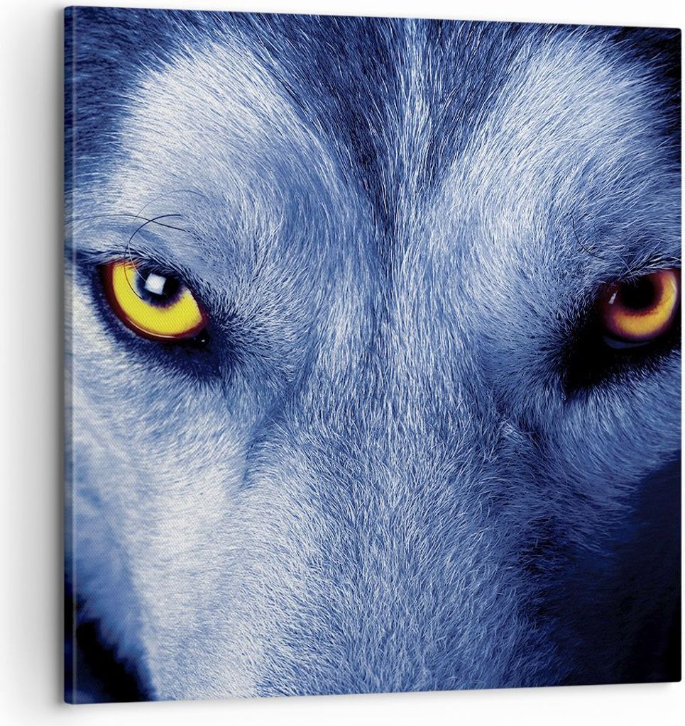 Bild auf Leinwand - Leinwandbild - Einteilig - Schau der Wolf Augen - 60x60cm - Wand Bild - Wanddeko - Wandbilder - Leinwanddruck - Bilder - Wandde...