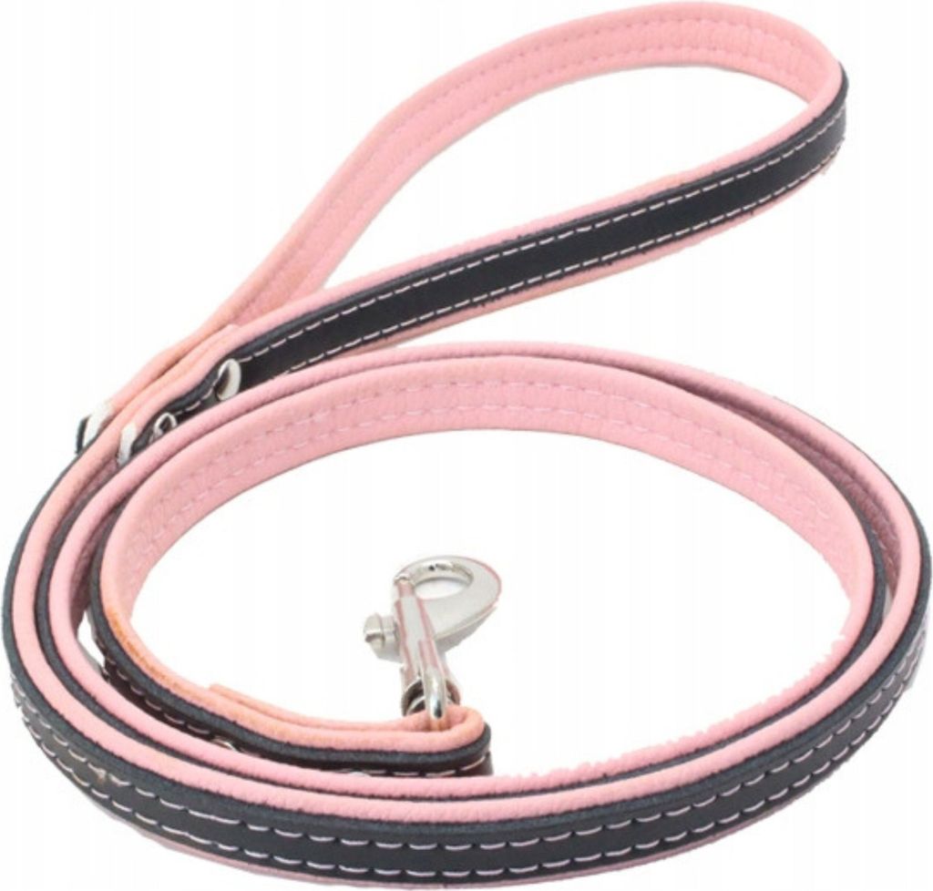 Petstory Reflektierende Leine 120cm, rosa, sicher