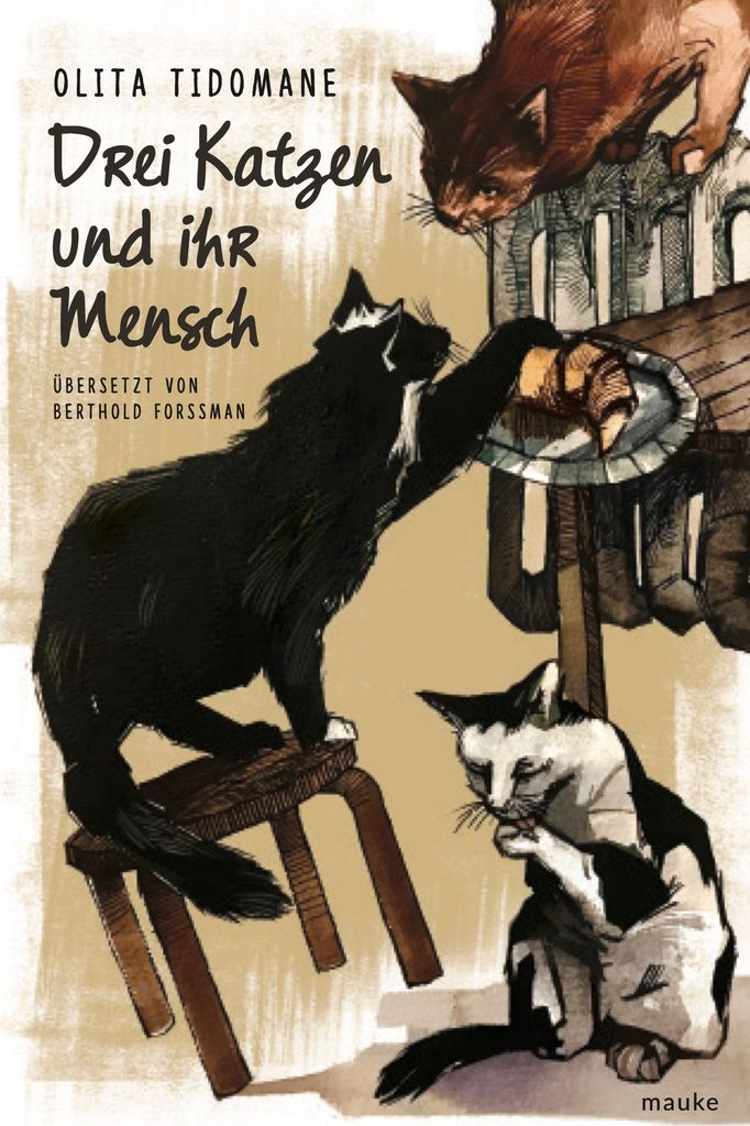 Drei Katzen und ihr Mensch