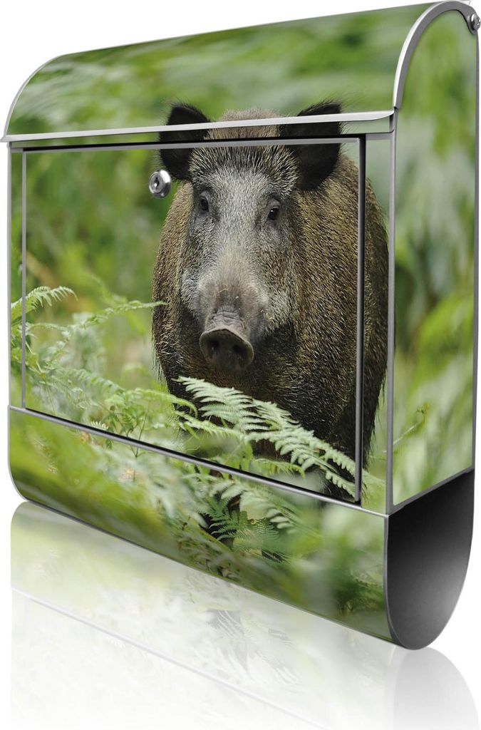 banjado Design Briefkasten Stahl silber mit Zeitungsfach pulverbeschichtet "Wildschwein" 38x46x12,5cm & 2 Schlüssel - Postkasten A4 Einwurf inkl. ...