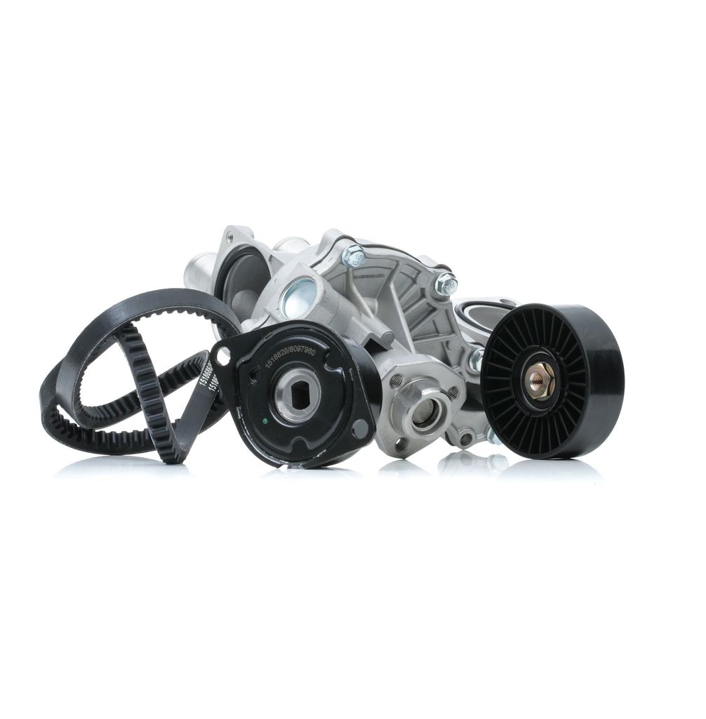 RIDEX 4172P0066 Wasserpumpe + Keilrippenriemensatz für VW GOLF III (1H1) SHARAN (7M8, 7M9, 7M6) Golf IV Cabrio (1E) Golf III Cabrio (1E7) PASSAT