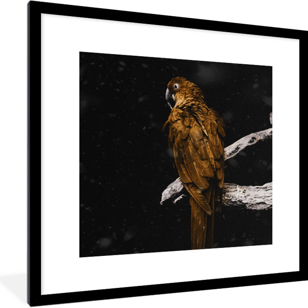 MuchoWow MuchoWow Gerahmtes Poster Papagei - Gold - Zweig 40x40 cm - Poster mit zchwarzem Bilderrahmen - Poster - Plakat im Rahmen
