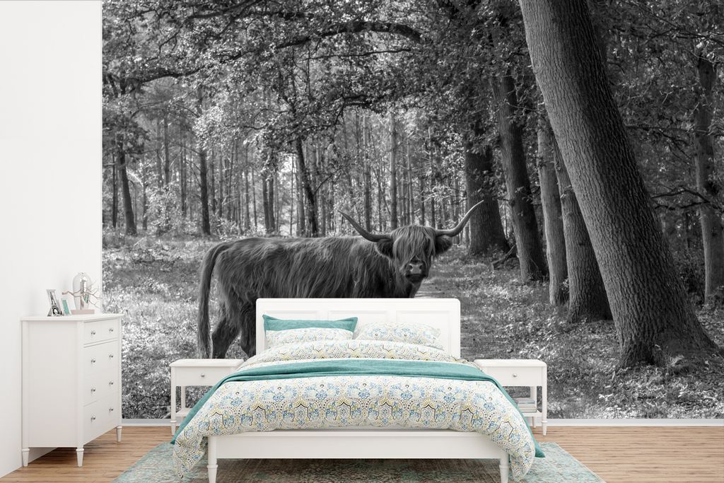 MuchoWow Fototapete für Wohnzimmer oder Schlafzimmer Wandtapete Vinyl Motivtapete Schottischer Highlander auf dem Weg - schwarz und weiß - 360x...