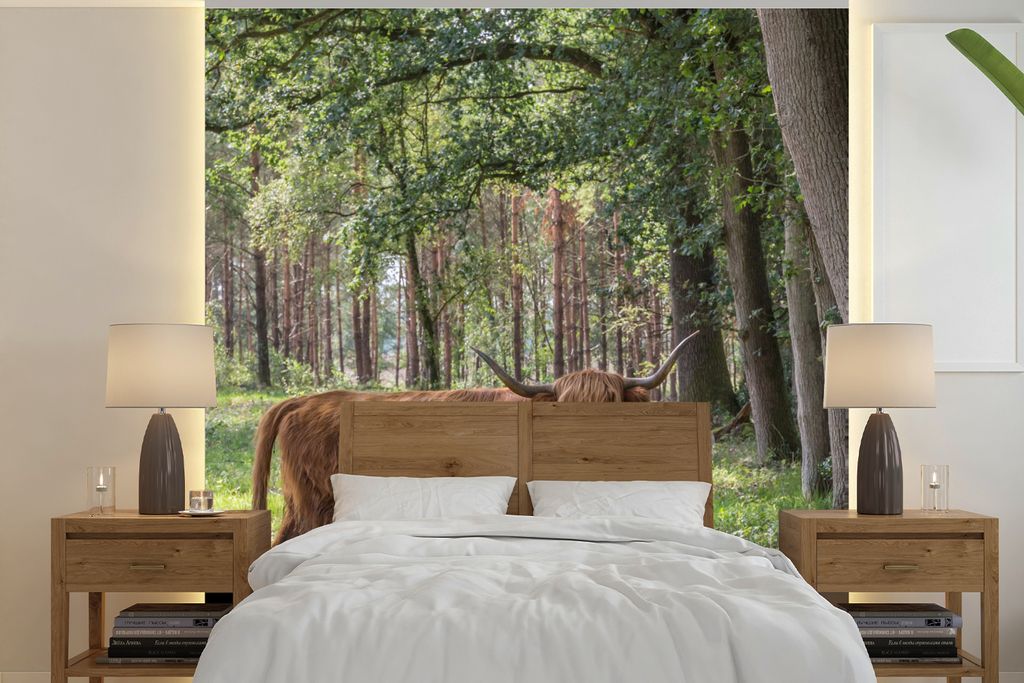 MuchoWow Fototapete für Wohnzimmer oder Schlafzimmer Wandtapete Vinyl Motivtapete Wald - Schottischer Highlander - Licht - 280x280 cm - Hintergr...