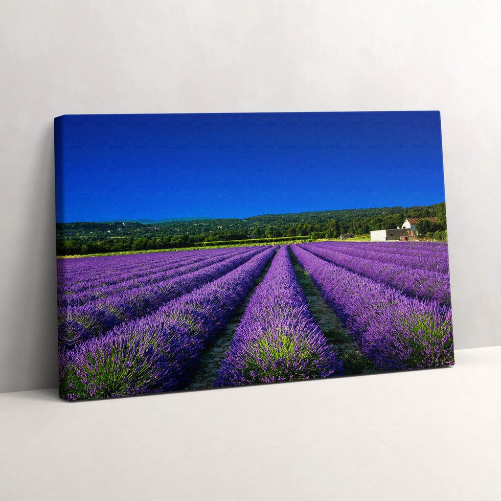 Lavendelfeld in der Provence – Leinwandbild Wandbild – 30x20 cm – Leinwandbilder – Wandbilder – Schlafzimmer – Flur