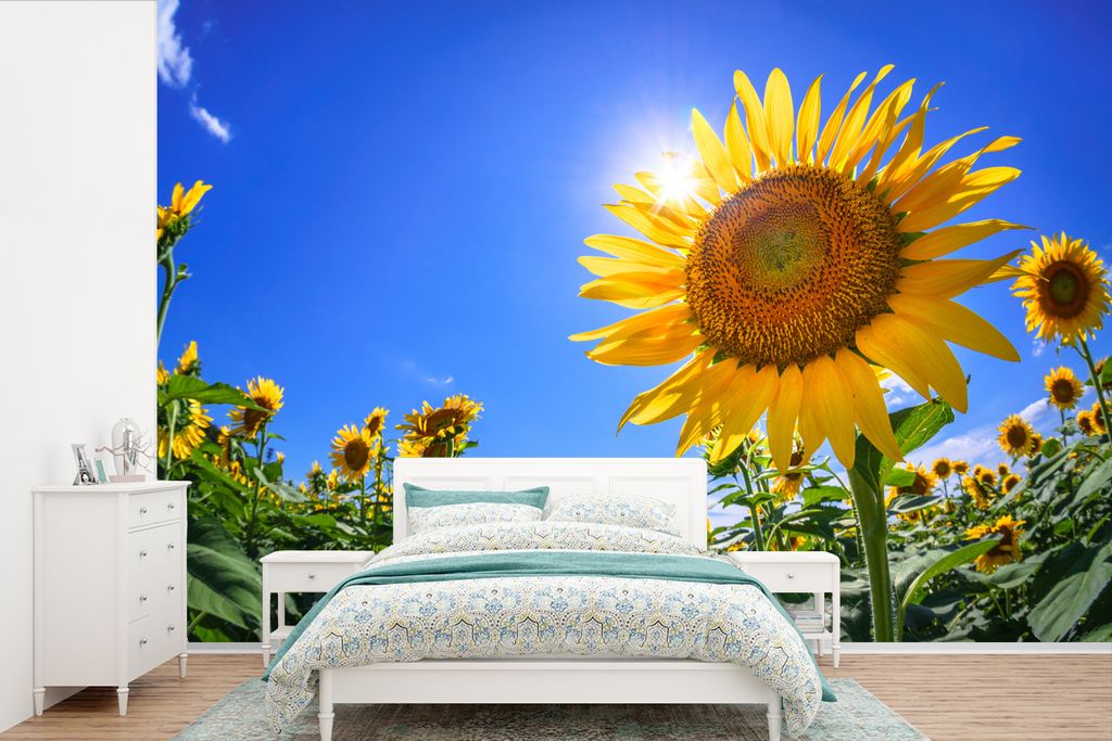MuchoWow Fototapete für Wohnzimmer oder Schlafzimmer Wandtapete Vinyl Motivtapete Sonnenblumenfeld von unten gesehen - 600x400 cm - Vinyltapeten