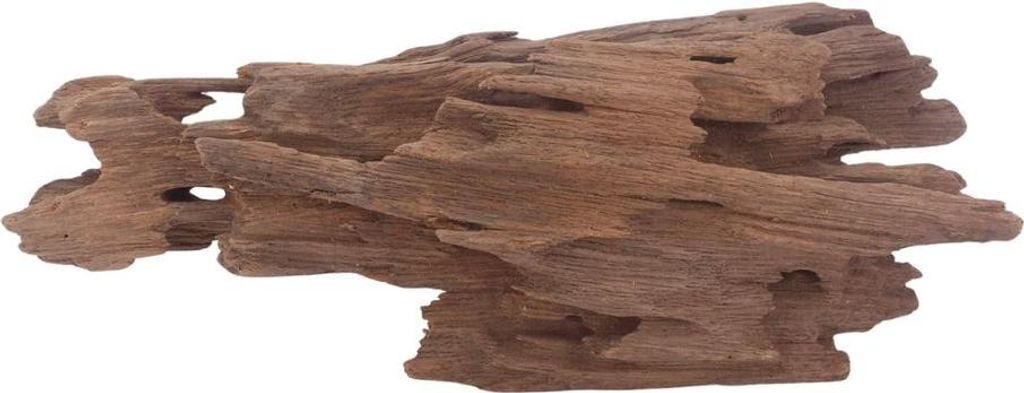 L Honey Comb Wurzel Nr.3034 Holz Deko Aquascaping