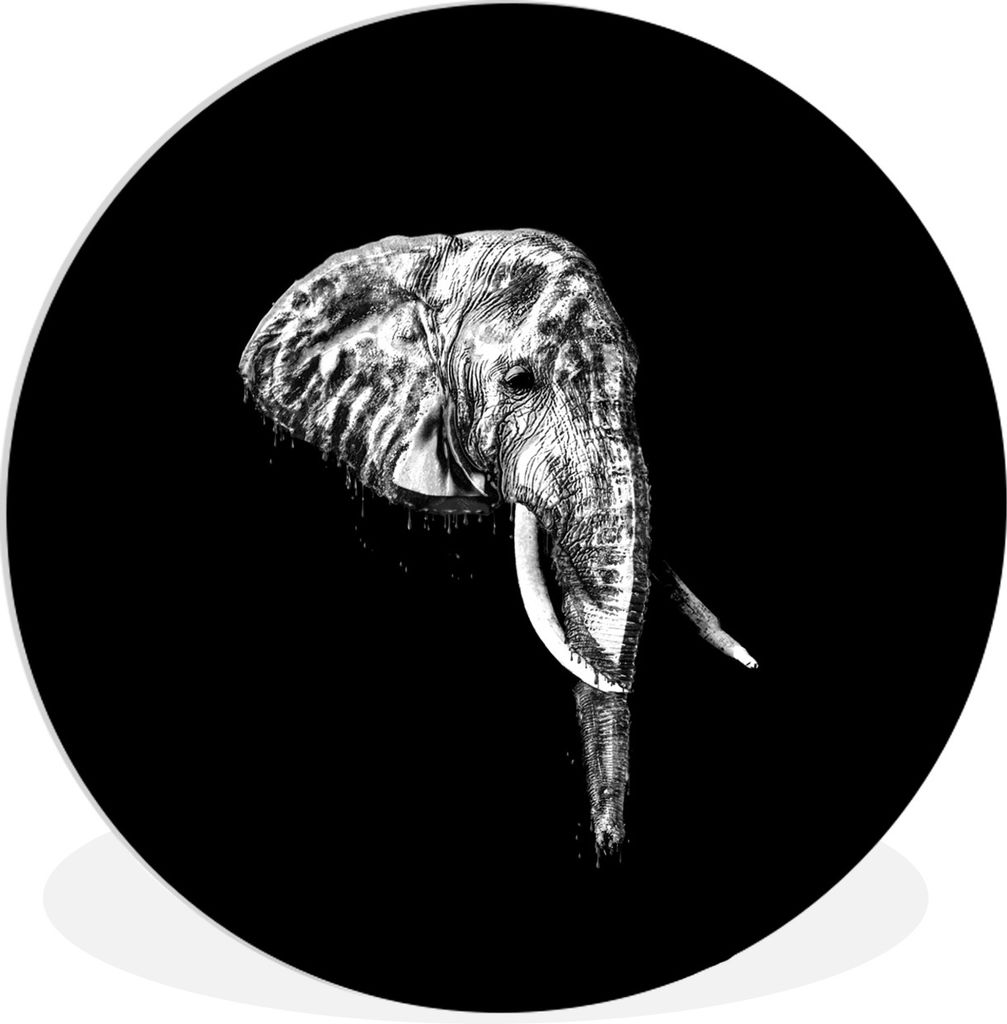 MuchoWow Rundes Wandbild - Runde Bilder Elefant - Zähne - Schwarz - Weiß Ø 90 cm Kreis Wanddekoration Kunststoff - Wandkreis - Wandschmuck - W...