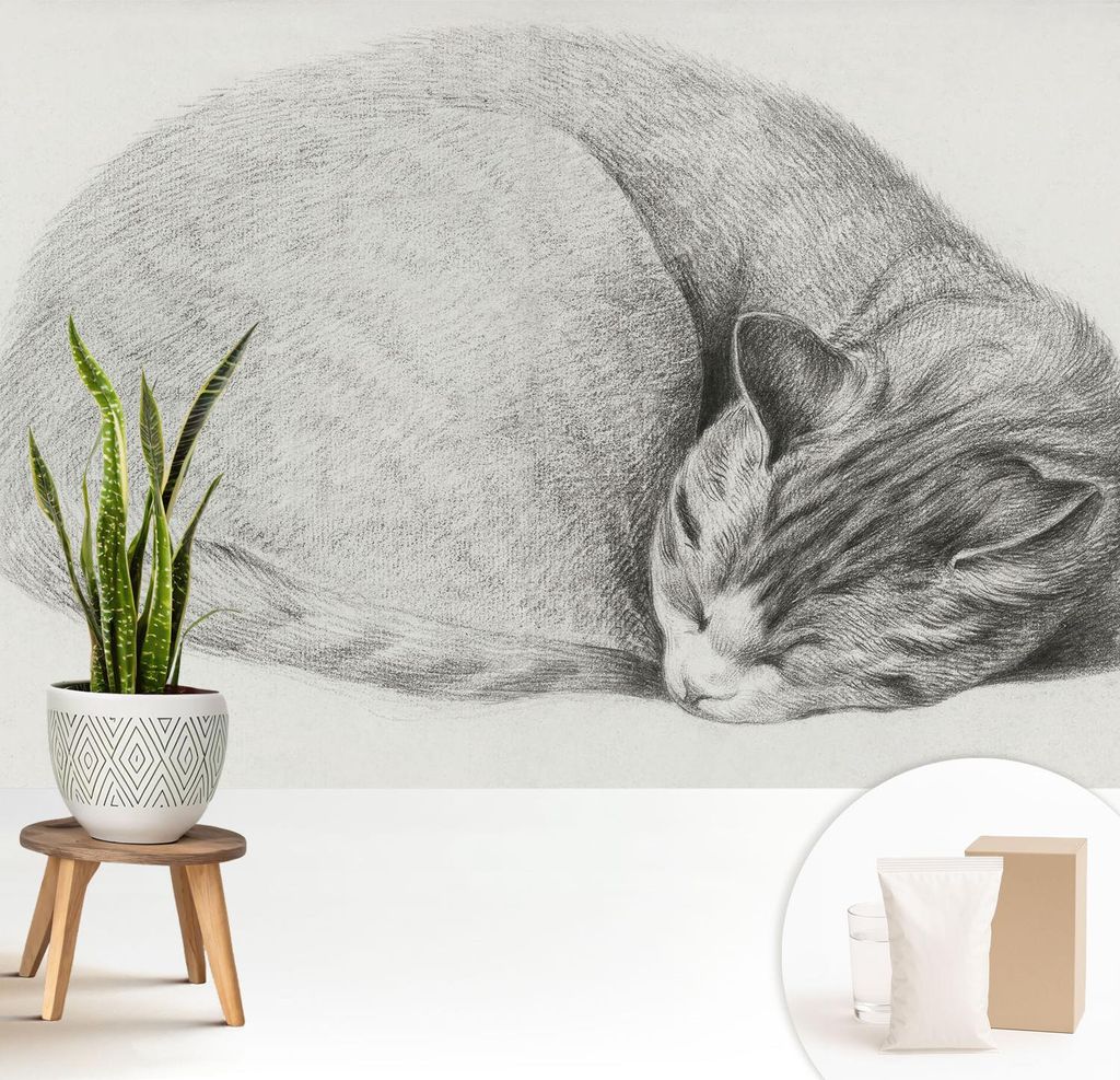 Fototapete - 208x146 cm - Tapete - Wandtapete - Wandbilder - Dekofolie - Tapete Folie - Wand - Dekoration - Wohnzimmer - Zusammengerollte Katze