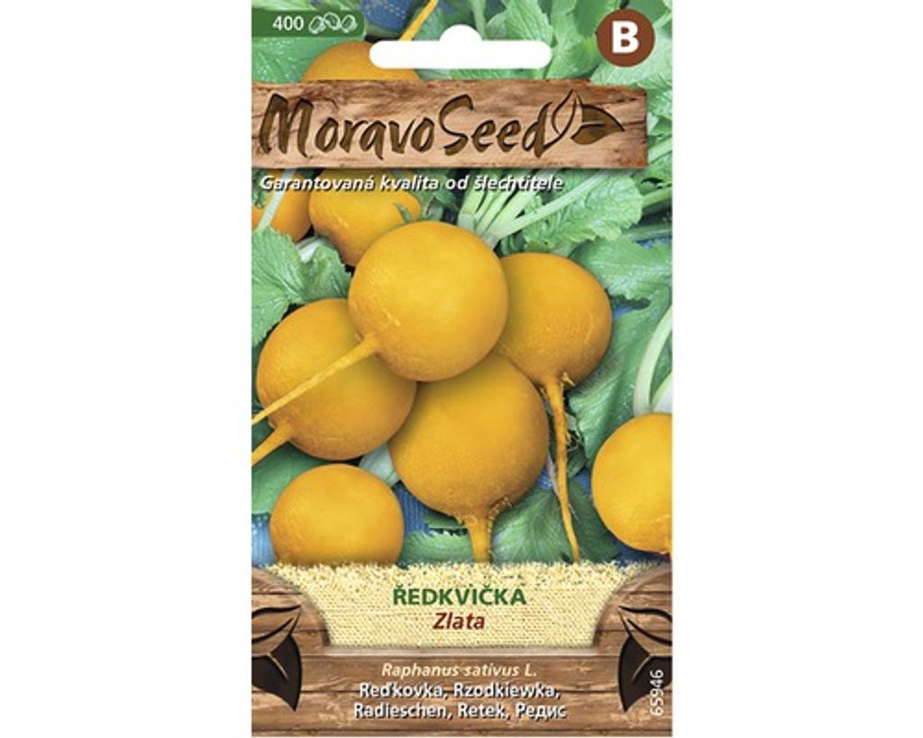 Radieschen GOLDEN gelb MoravoSeed
