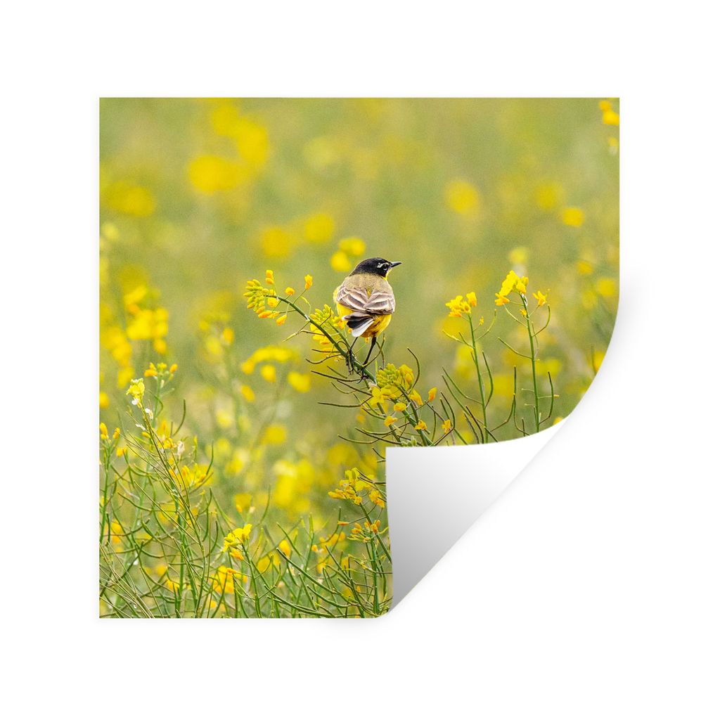 MuchoWow Wandtattoo Wandsticker Wandaufkleber Vogel - Blumen - Gelb 50x50 cm Selbstklebend und Repositionierbar - Selbstklebend - Fototapeten