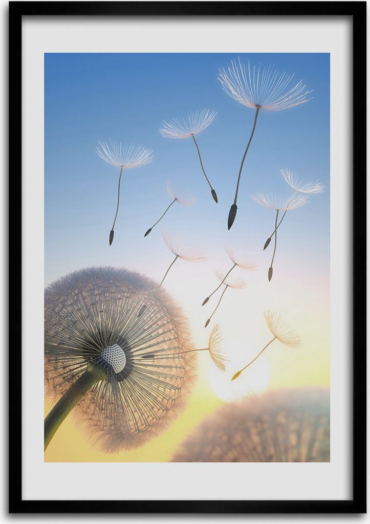 Bild - Bilderrahmen - Foto - 70 cm x 100 cm - MDF - Rahmen - Wandkunst - Löwenzahn