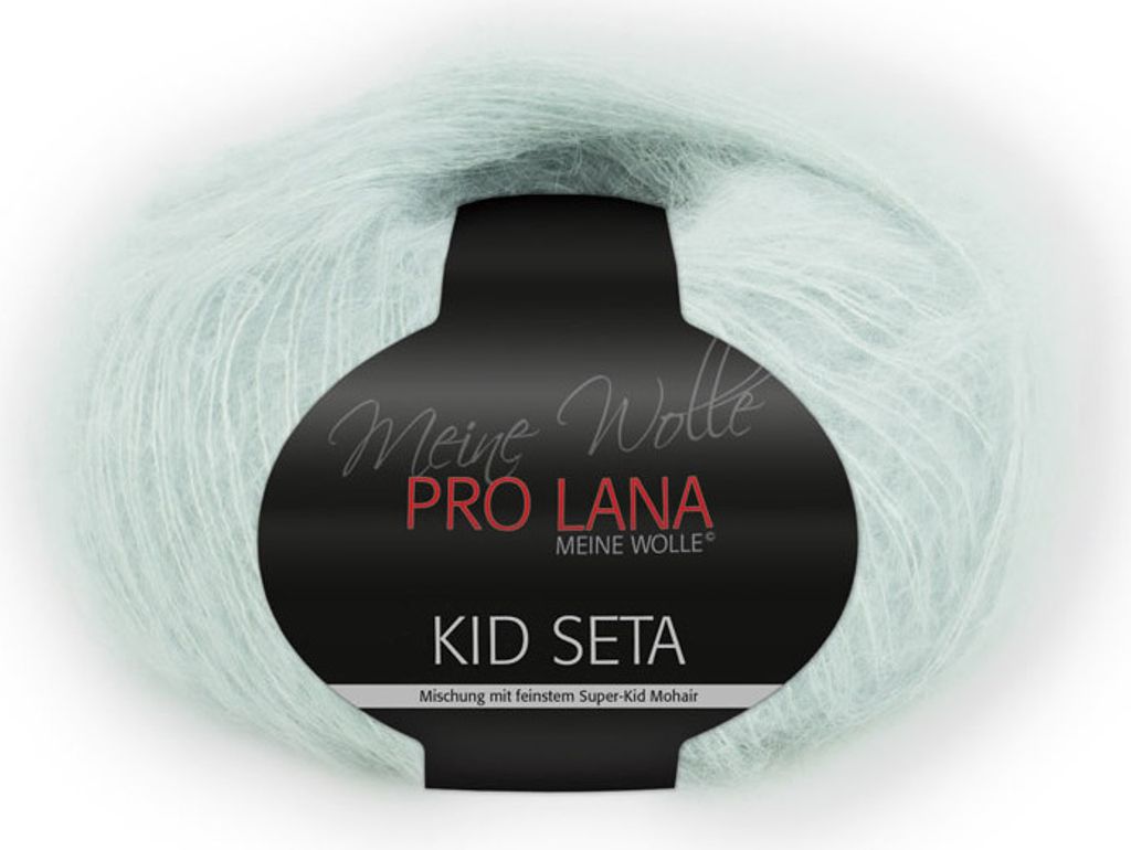 Pro Lana Kid Seta Uni 25g (63)