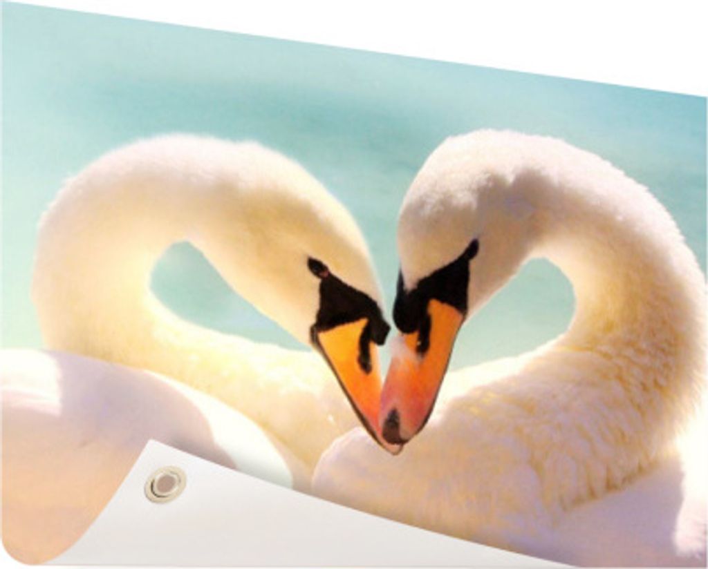 MuchoWow 120x90 cm Outdoor-Poster Gartendeko Sichtschutz Garten Poster für den Garten Schwäne - Liebe - Blau