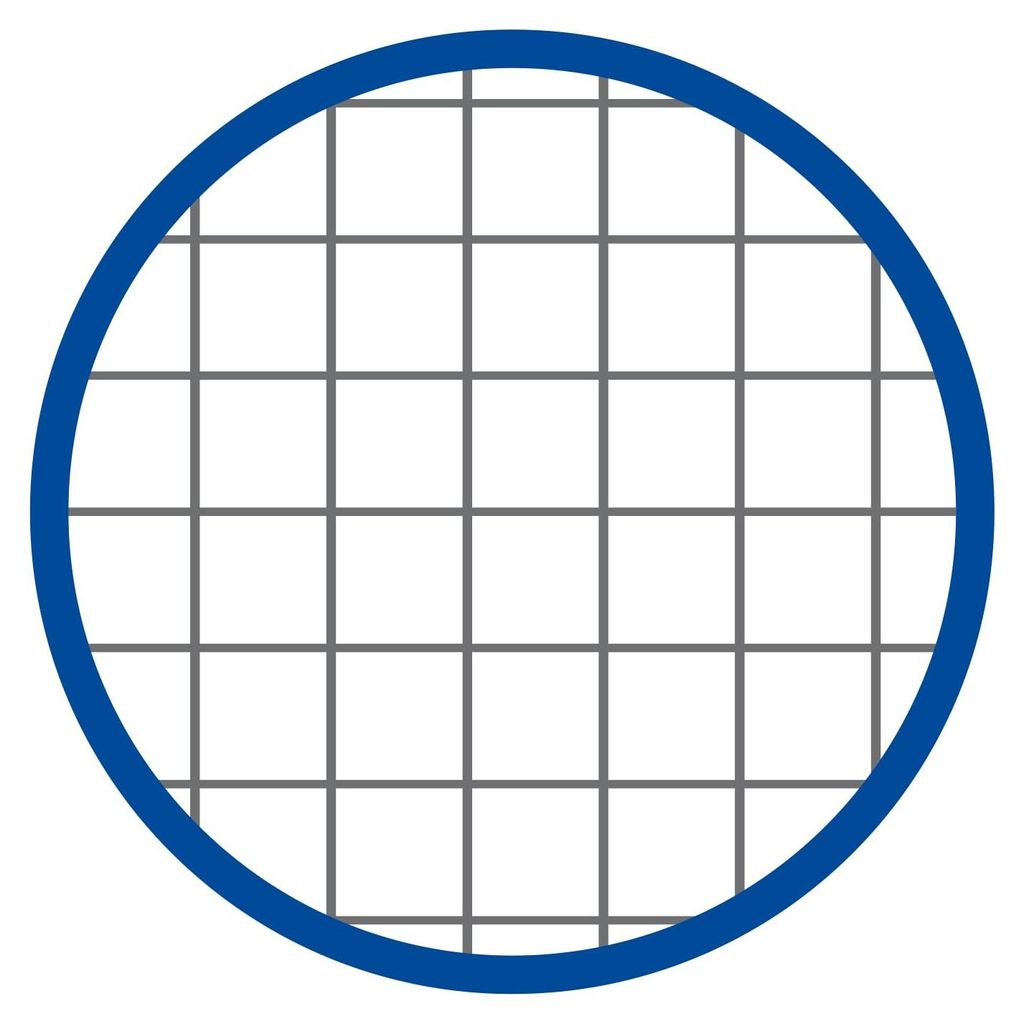 Blasetti One Color A4-Heft, Maxi-Hefte, 10 Stück, 80g Papier, einfarbiger Einband, Lineatur 5M