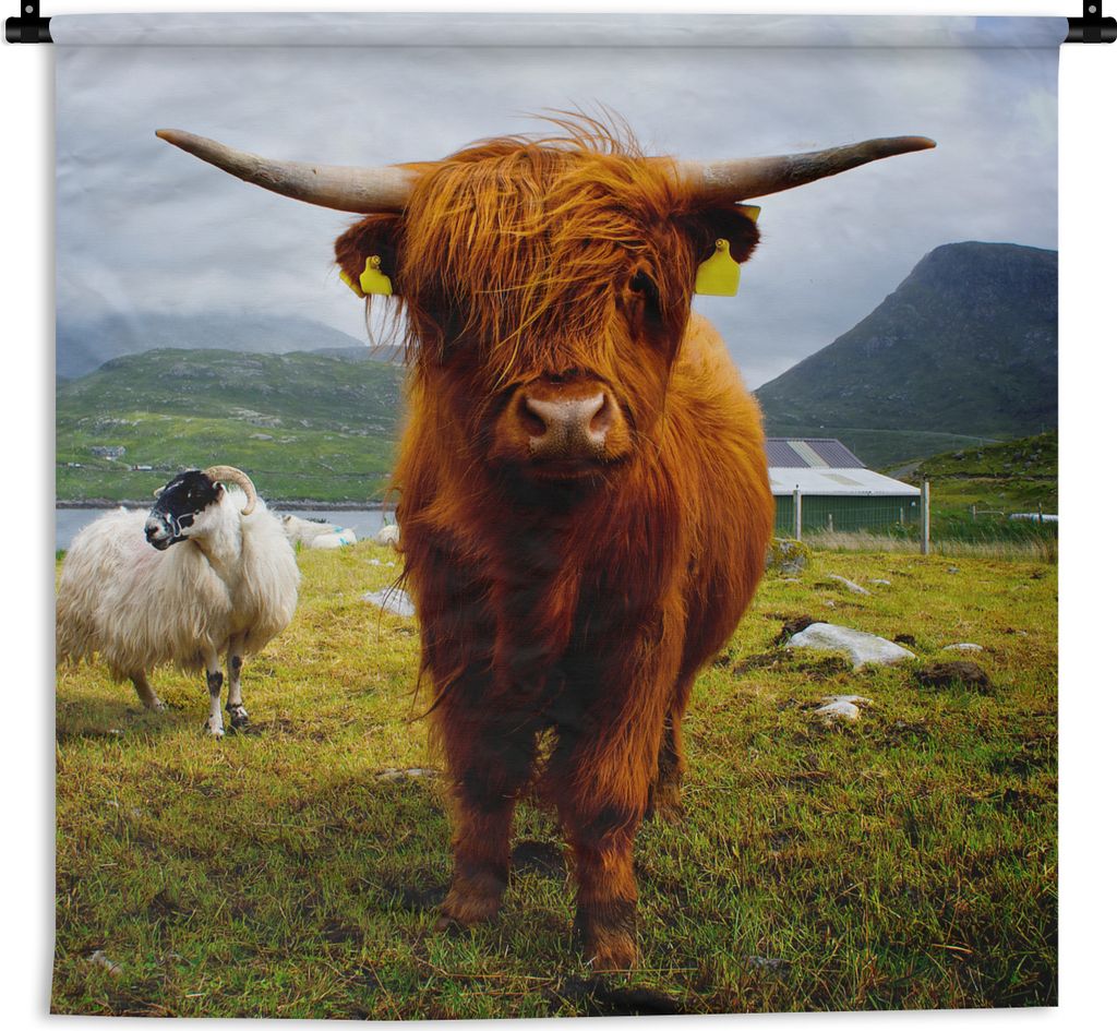MuchoWow Wandteppich Wandbehang Schottisches Hochlandrind - Leicht - Schaf 150x150 cm Tapisserie Dekoration Wandtuch - Wohnaccessoires - Modernes