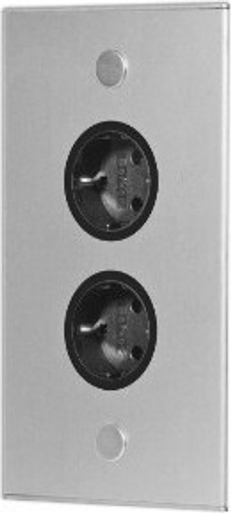 A close-up, front-facing view of a double electrical outlet on a silver plate.