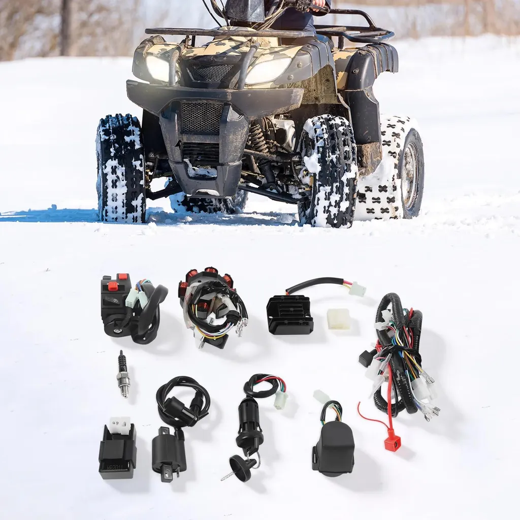 Câblage complet de remplacement pour Quad 200cc et 250cc avec stator - 2