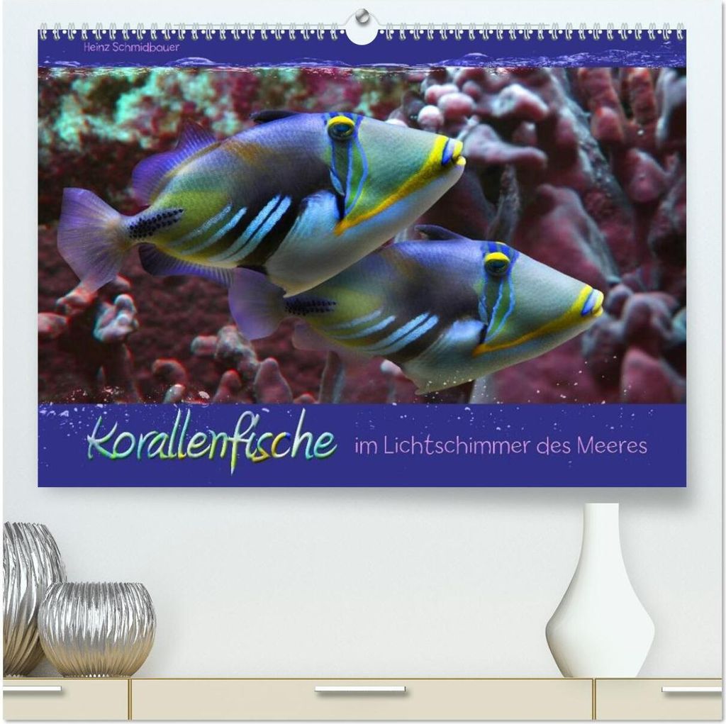 Korallenfische im Lichtschimmer des Meeres (hochwertiger Premium Wandkalender 2026 DIN A2 quer), Kunstdruck in Hochglanz