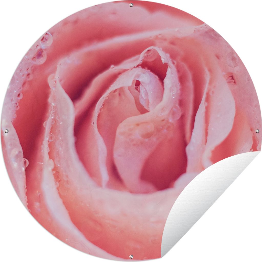 MuchoWow Gartenposter Outdoor-Poster Rund Morgentau auf rosa Rosenblättern Ø 90 cm Gartendeko Rundes Poster draußen