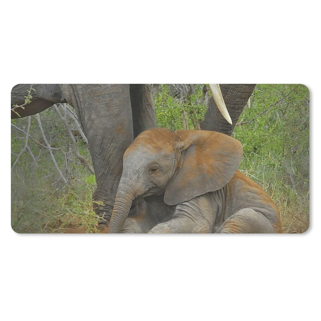 MuchoWow Schreibtischunterlage Elefant - Tiere - Sand - Natur 80x40 cm - XXL Mauspad - Gaming Mauspad