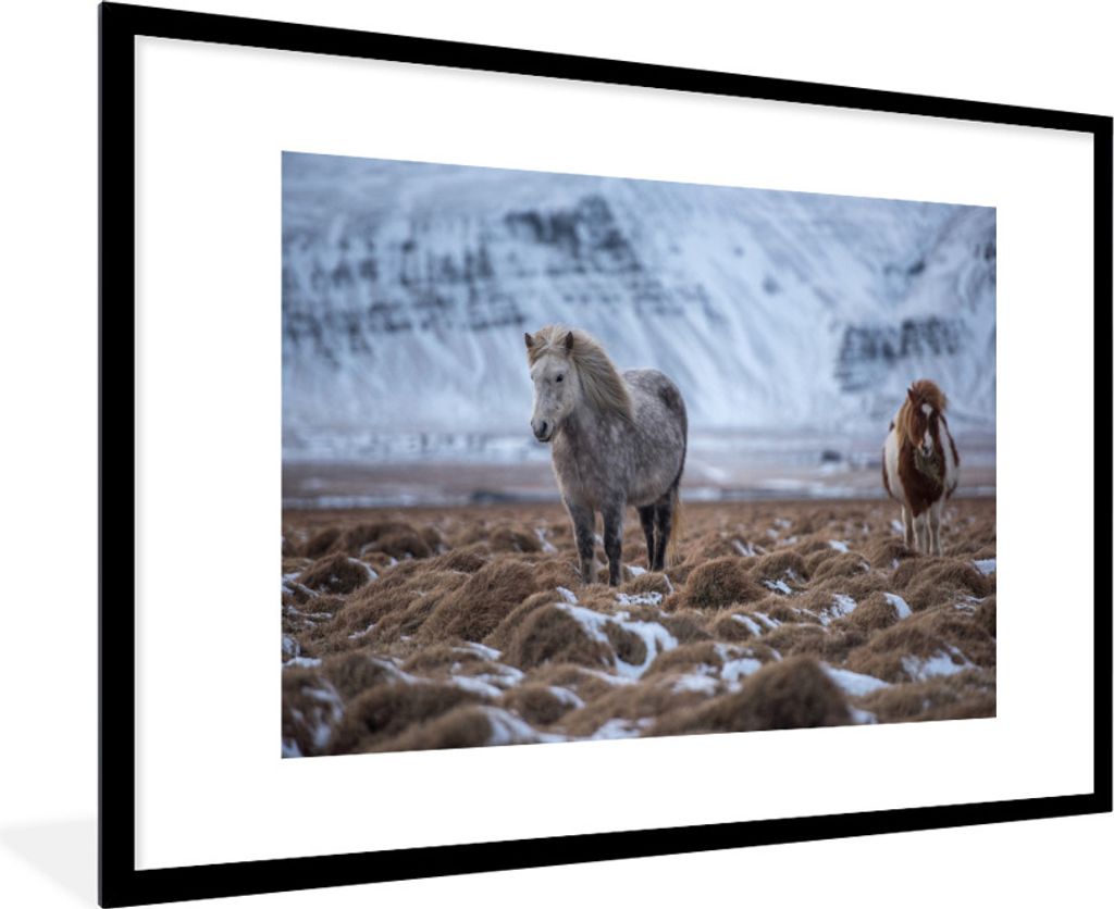 MuchoWow Gerahmtes Poster Island - Pferde - Schnee 90x60 cm - Poster mit Schwarzem Bilderrahmen Wandposter Rahmen Foto Bilder - Wanddekoration - ...