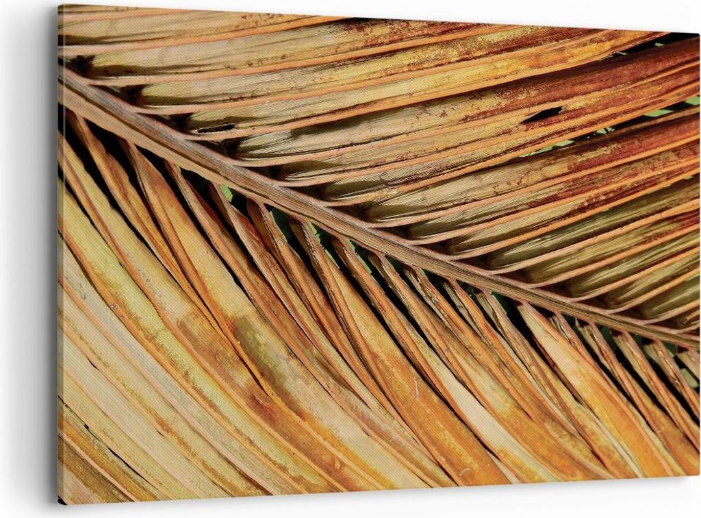 Bild auf Leinwand - Leinwandbild - Einteilig - Orange Blatt Tropisch - 100x70cm - Wand Bild - Wanddeko - Wandbilder - Leinwanddruck - Bilder - Wand...
