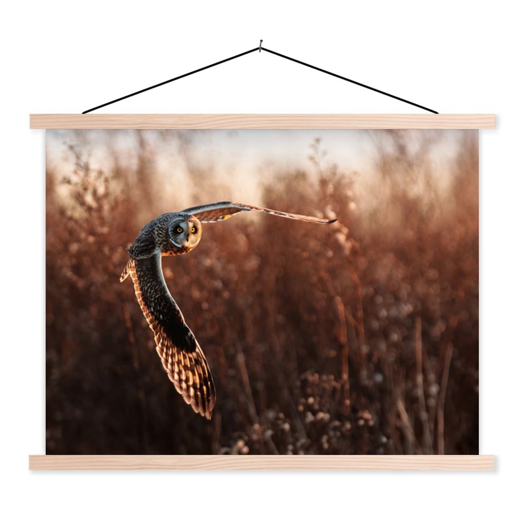 MuchoWow Textilposter Vogel - Eule - Sonnenuntergang - Natur 40x30 cm mit holzfarbenen Rahmen - Bilder