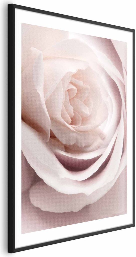 Posterpapier Poster - Porcelain Rose 29.7x42 cm Blumen b-C-0403-ao-a