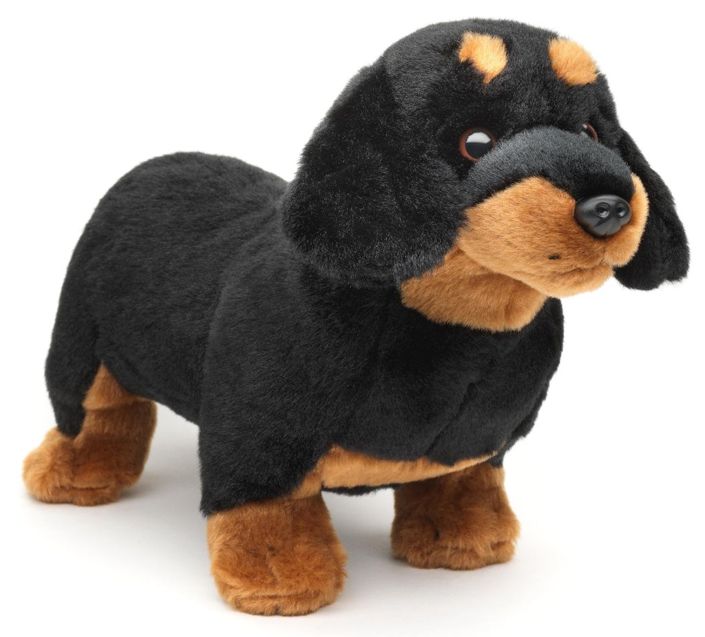 Teckel en peluche 30 cm ECO-FRIENDLY Image du produit 