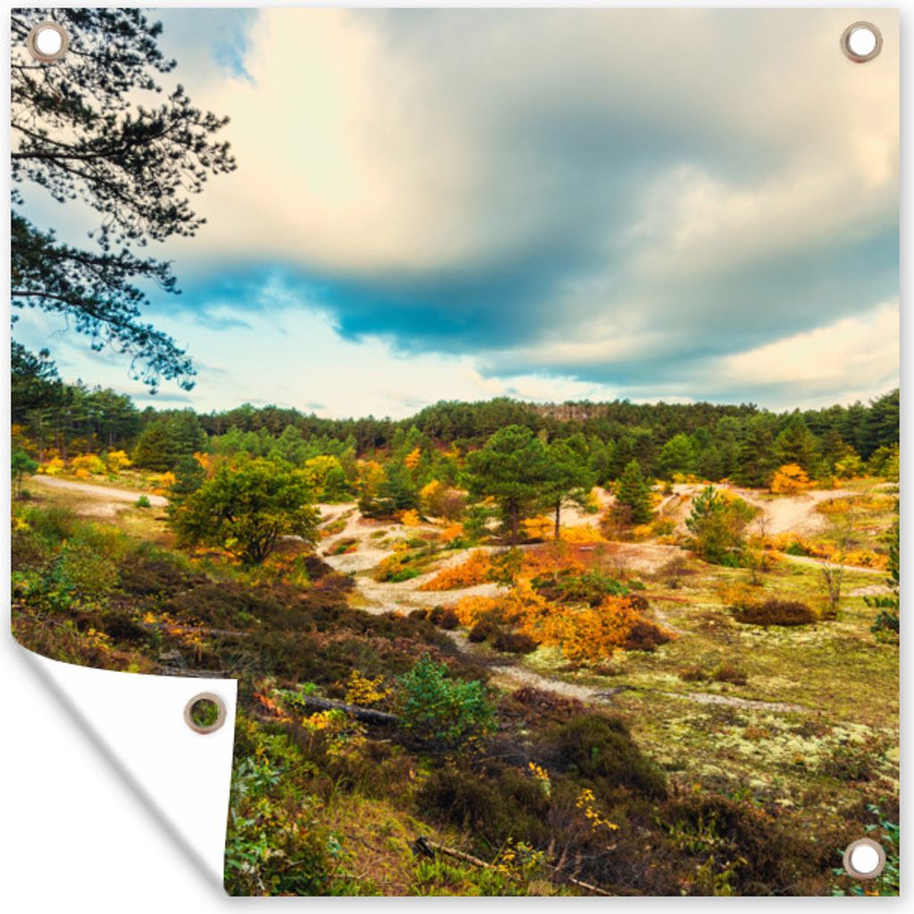 MuchoWow 50x50 cm Outdoor-Poster Gartendeko Sichtschutz Garten Poster für den Garten Tal bei Schoorl in den Dünen