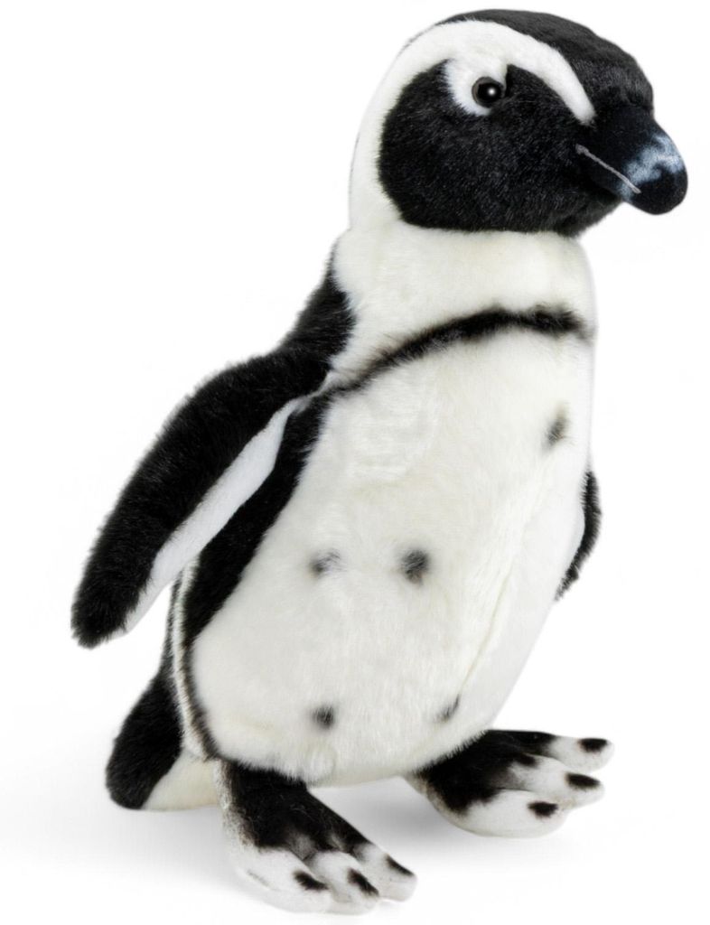 Carl Dick Pinguin, pingüino de Humboldt, aproximadamente 30 Imagen del producto 
