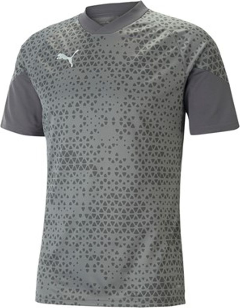 Puma Team Cup T-Shirt Herren - Grau