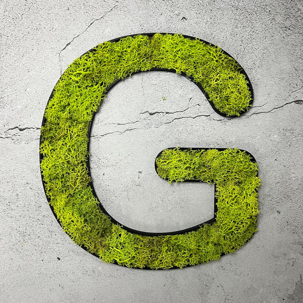 Islandmoos – Buchstabe G/Springgrün