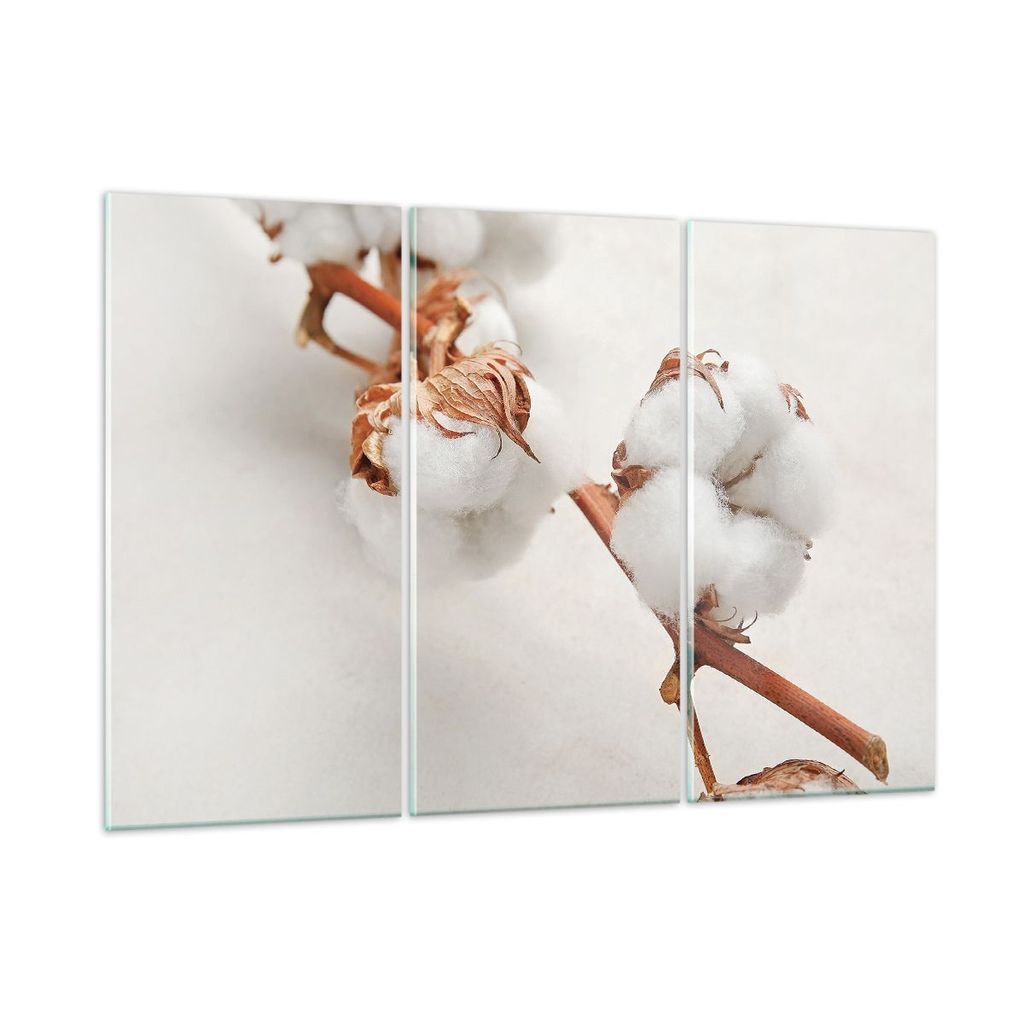 Bilder auf glas - 3 Teile - Baumwolle Makro Zweig - 165x110cm - Glasbilder - Wandbilder - Bilder - zum Aufhängen bereit - Wanddekoration aus Glas ...