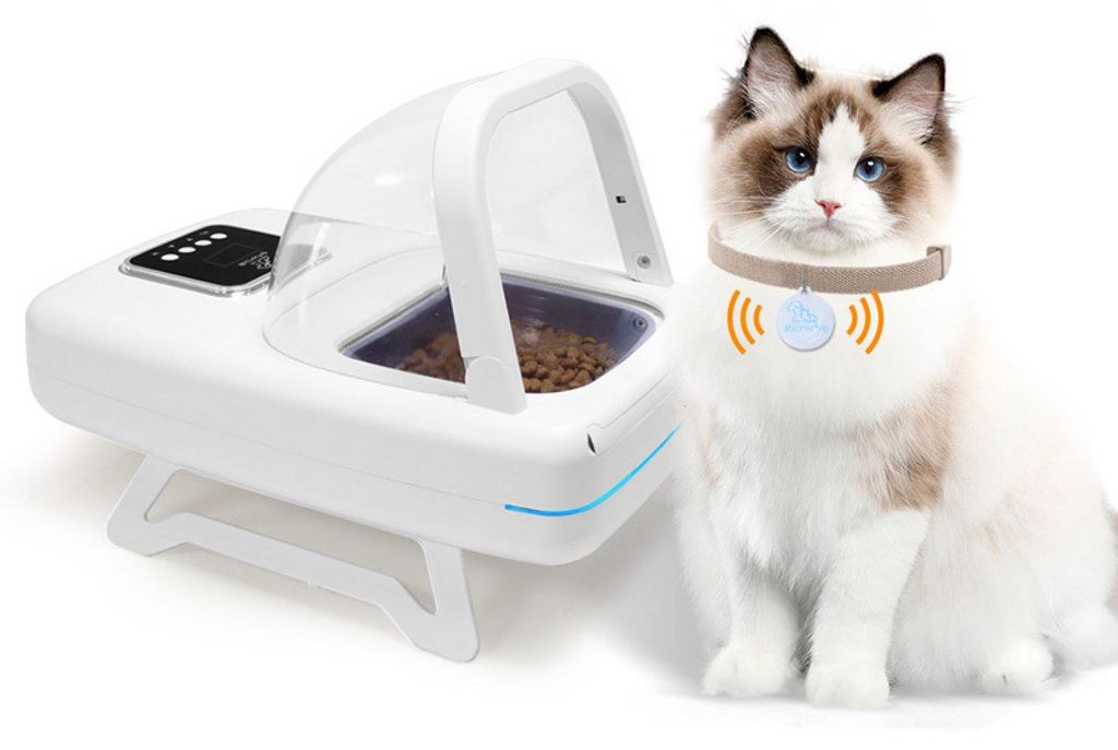 Zimilo Automatischer Futterautomat für Katzen & Hunde mit Produktbild 