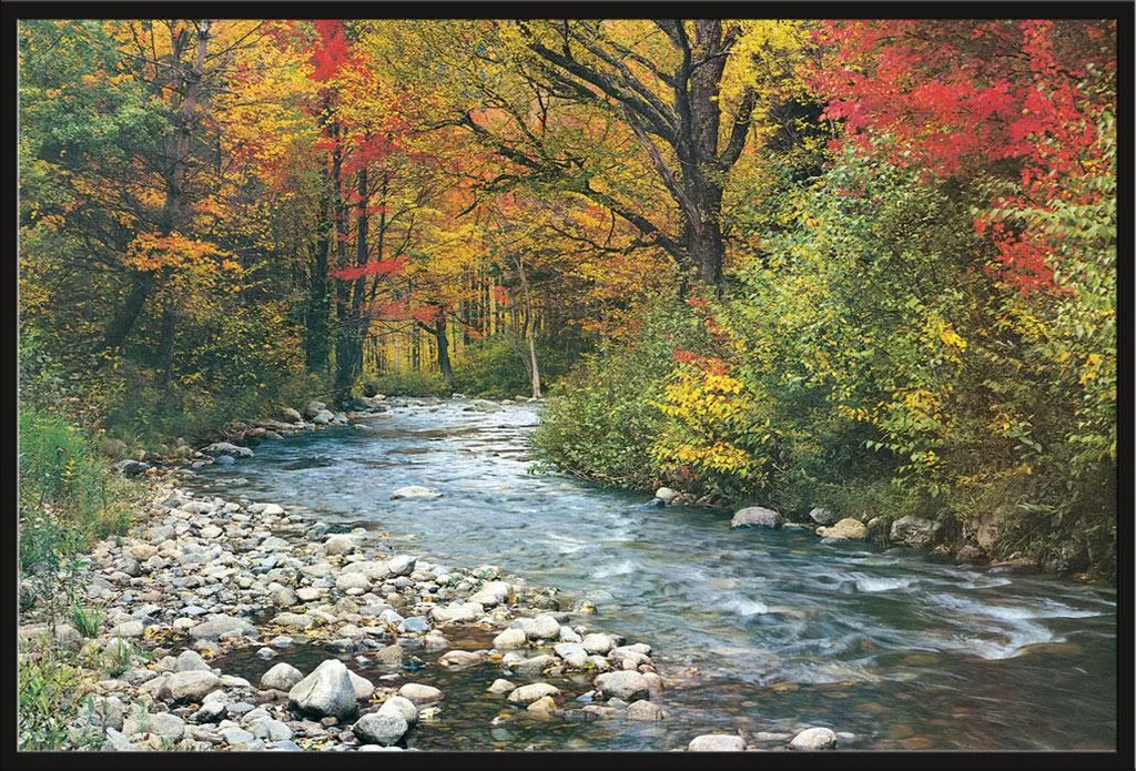 Affiche Forêt avec Cadre Shinsuke en Plastique Noir et Vitre Acrylique