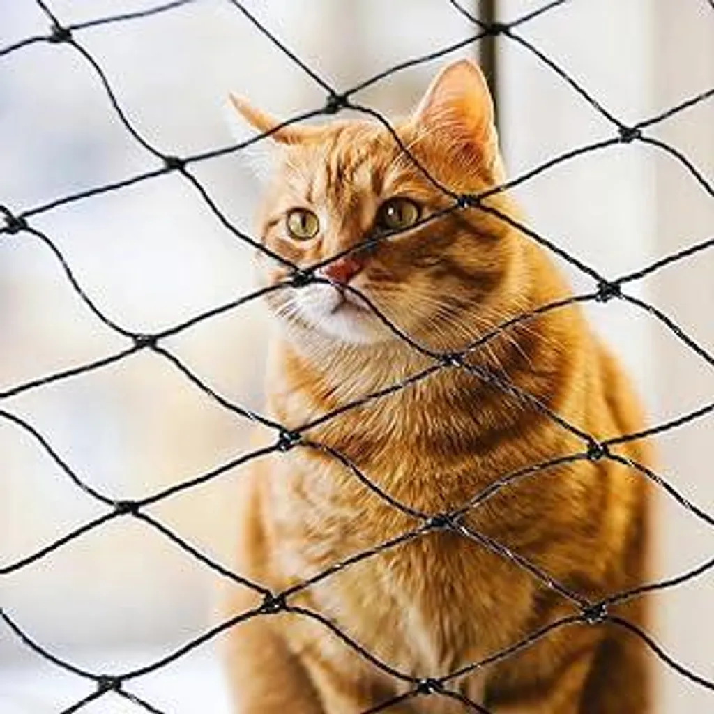 Rete per Gatti Balcone 2x3m Rinforzata - Protezione Facile e Sicura