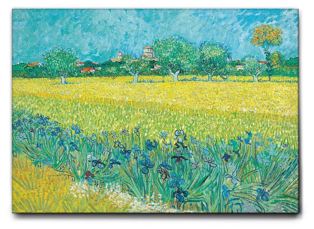 Giallobus - Feld mit Iris in der Nähe von Arles - Vincent Van Gogh - 140L x 100B cm - Bild - Leinwand mit Standardrahmen