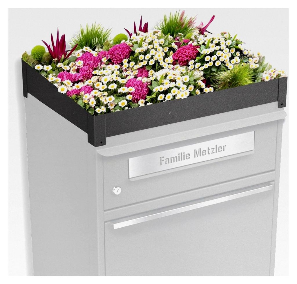 Pflanzdach für Paketbox | Grau | Dachbegrünung für Paketbriefkasten