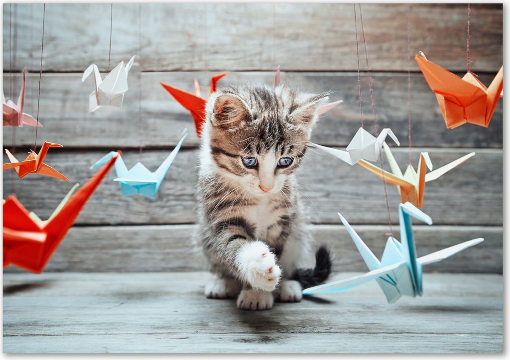 Tulup Glas-Bild - 100 x 70 - Wandbild aus Glas - Wandkunst - Wandbild hinter gehärtetem Sicherheitsglas - Tiere - Katze Vögel Papier - Mehrfarbig