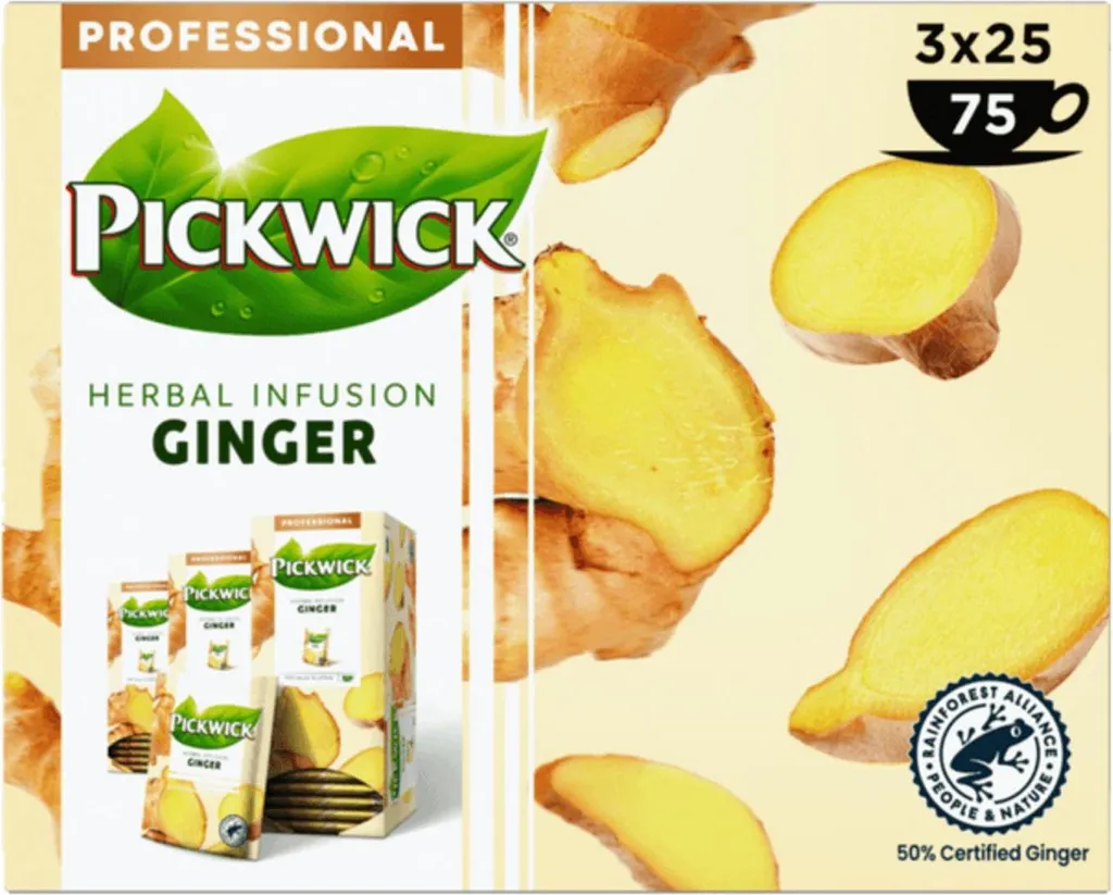 Thé Gingembre Pickwick Profi 75 sachets infusion intense gingembre pur