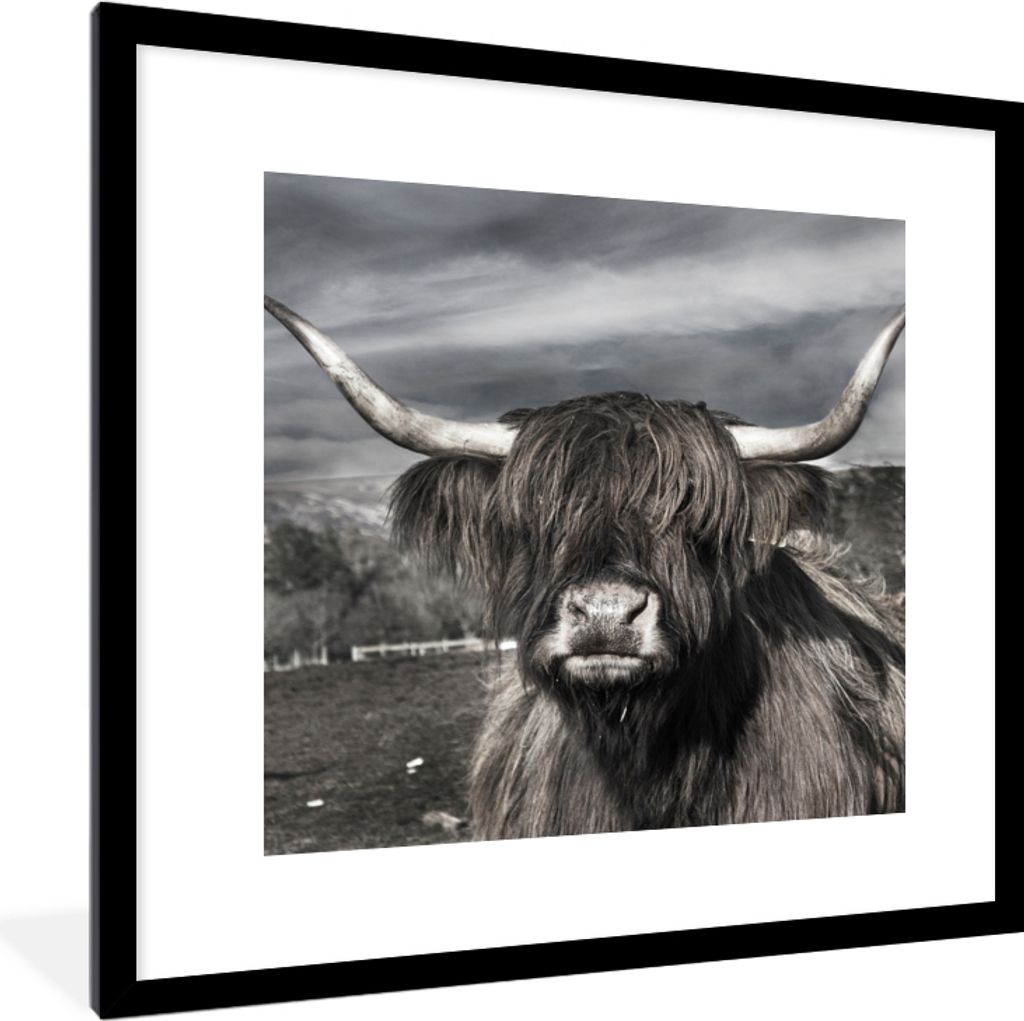 MuchoWow Gerahmtes Poster Schottischer Hochländer - Porträt - Schwarz - Weiß - Tier - Wildnis - Natur 40x40 cm - Poster mit Schwarzem Bilderra...