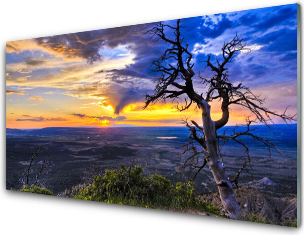 Küchenrückwand aus Glas 100x50cm Spritzschutz Baum Landschaft